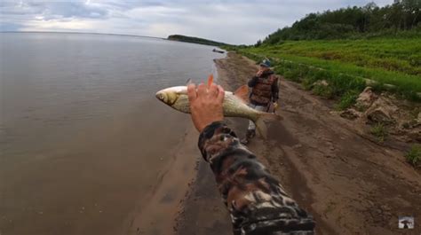О рыбалке