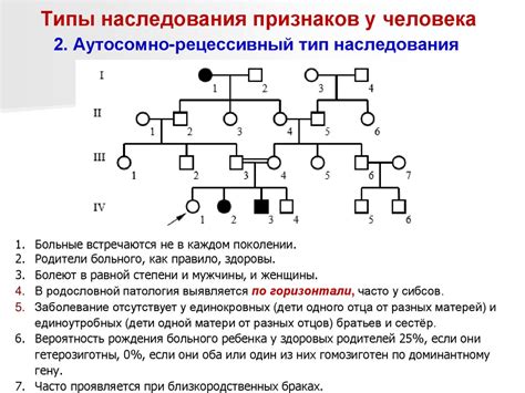 Первые шаги и особенности наследования