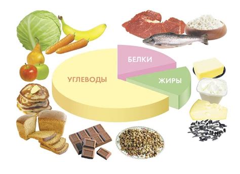 Питательные и ценные вещества