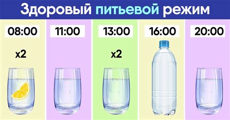 Питьевой режим для предотвращения проблем: полезная информация о важности гидратации