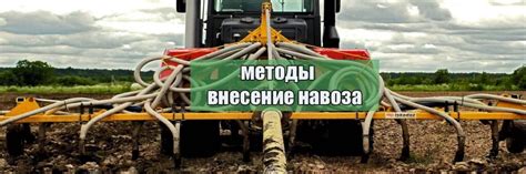 Плюсы осеннего внесения навоза