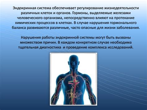 Погрешности работы эндокринной системы