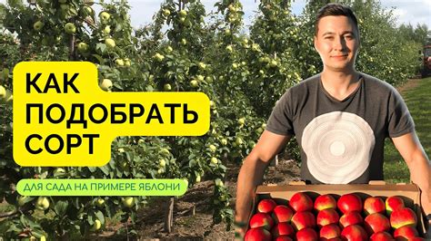 Подобрать сорта