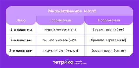 Подробная таблица спряжения глагола в трех спряжениях