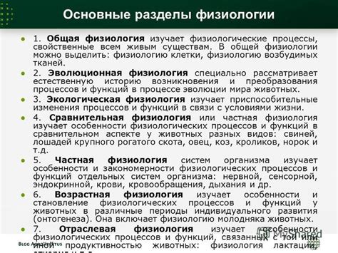 Полезные физиологические процессы, активизируемые в бане