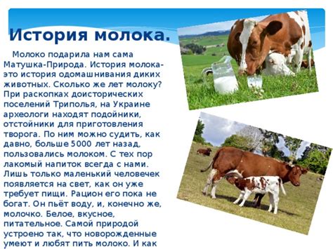 Природа образования молока