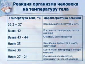 Причины повышения температуры 38 у взрослых