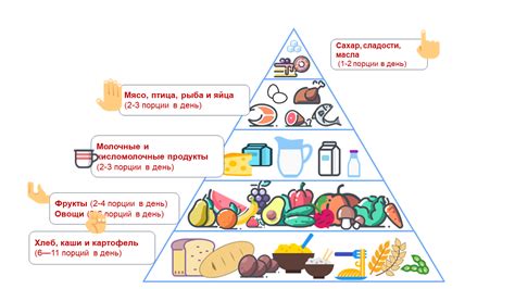 Раздел 1: Правильное питание и режим питания