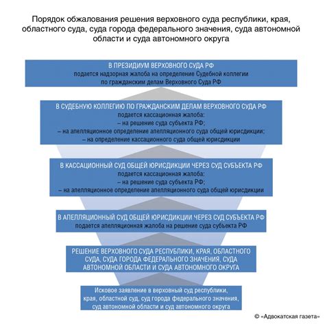 Разработка стратегии защиты и подготовка к суду