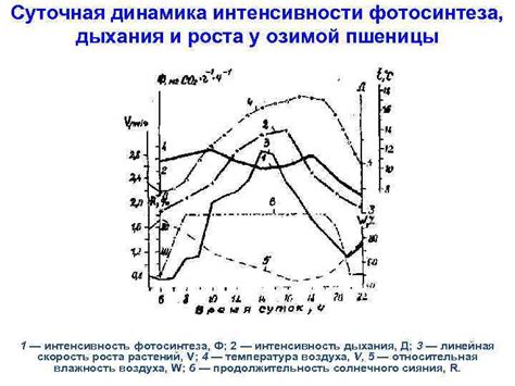 Снижение интенсивности роста