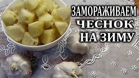Способы заморозки чеснока