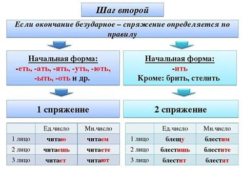 Спряжение глаголов второго спряжения: особенности и правила