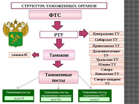 Сущность и функции таможенных органов