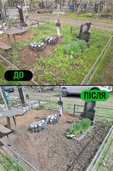 Уборка зарослей: основные причины и последствия запущенного состояния