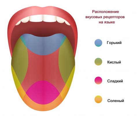Улучшение аппетита и снижение подавления вкусовых рецепторов