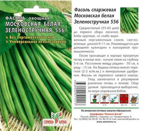 Уход за посаженной фасолью в зимний период