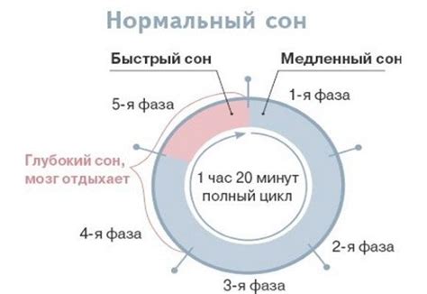  Лучшие советы для определения фазы паразитов 